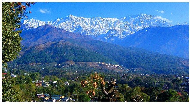 Angel'S Inn Resort Dharamsala Zewnętrze zdjęcie